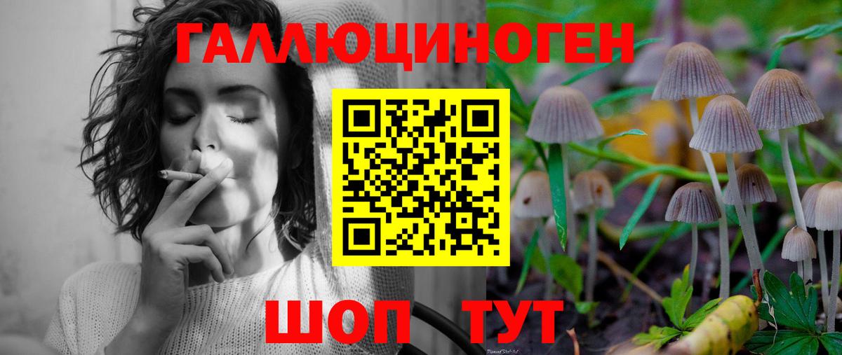 Галлюциногенные грибы GOLDEN TEACHER Киров